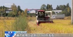 一多量农产物正你的餐桌！全国秋粮收成近四成