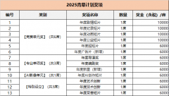 2025第五届搜狐青幕打算大赛法则